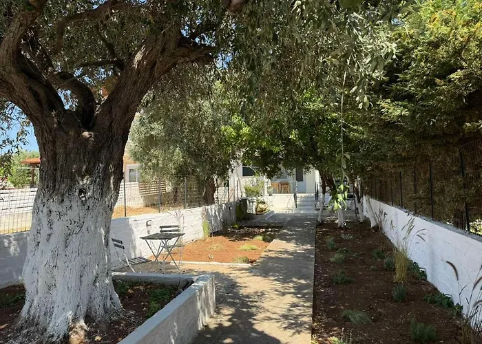 Thassos Soul Σπίτι διακοπών Σκάλα Καλλιράχης